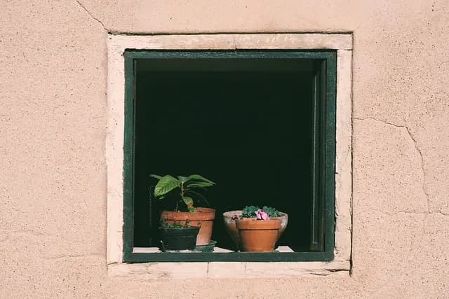 Understanding the Role of a Developer: Key Skills and Responsibilities