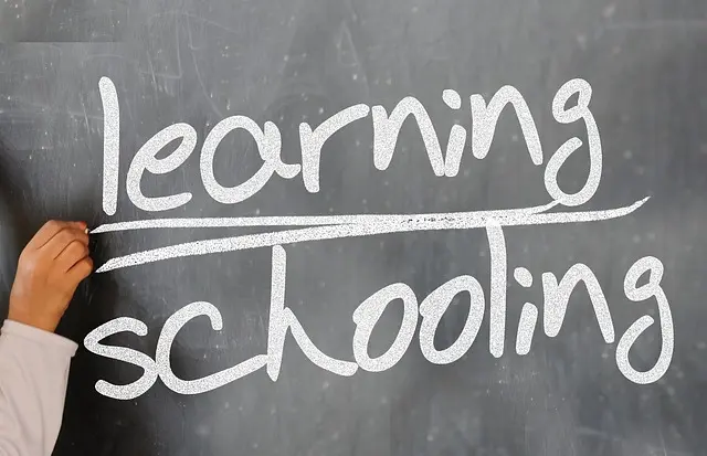 How to Choose the Right Coding Bootcamp for Your Career